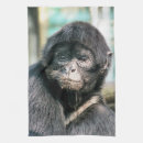 Recherche de araignée cuisine linges Animal