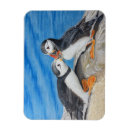 Recherche de macareux magnets Oiseau