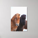 Recherche de caballus impressions sur toile Ferme