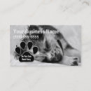 Recherche de pet sitter cartes visite Assise