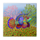 Recherche de corral carreaux Récif