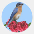 Recherche de camelia autocollants Fleurs