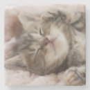 Recherche de personne chat dessous de verres Animal