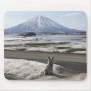 Recherche de shiba inu tapis souris Mignon