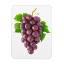 Recherche de raisin magnets Rouge
