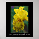 Zoek naar inspirational quote posters Flowers