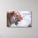 Zoek naar tijger hoofd kunst Buiten
