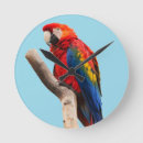 Recherche de plumage art Macaw