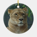 Recherche de lion africain ornements Chat