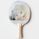 Recherche de faune raquettes ping pong Arctique