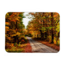 Recherche de piste magnets Automne