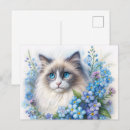 Recherche de myosotis de cartes postales Floral