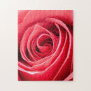 Recherche de macro puzzles Rose