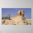 Recherche de chat de sphinx Amoureux des chats