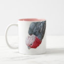 Recherche de perroquet tasses Aviaire