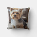 Recherche de yorkshire terrier décoration coussins Toute personne