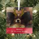 Zoek naar grappig konijn ornamenten Schattig