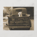 Recherche de camion jaune cartes postales Camions