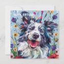 Zoek naar collie hond kaarten Bordercollie