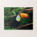 Recherche de toucan puzzles Animal