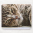 Recherche de oeil tapis souris Animal