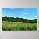 Zoek naar hooi balen posters Platteland