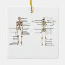 Recherche de medical ornements Docteur