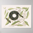 Zoek naar gecko kunst Hagedis