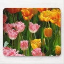 Recherche de tulipe orange tapis souris Nature