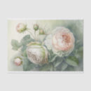 Recherche de chou Cottagecore