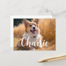 Recherche de amoureux de les chiens cartes postales Pour elle