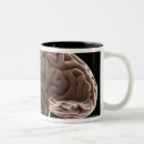 Recherche de tir de studio tasses Image de couleur