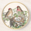 Zoek naar zangvogel onderzetters Vintage