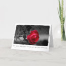 Zoek naar fotografie valentijnskaarten Rozen