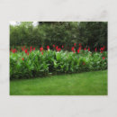 Recherche de jardin des plantes cartes postales Fleurs