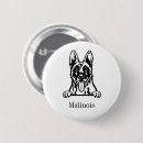 Recherche de belge badges Dog