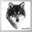 Recherche de loups gris posters Canis lupus