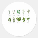 Recherche de persil autocollants Romarin