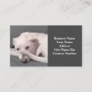 Recherche de funnny cartes visite Unique