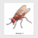 Zoek naar vliegen stickers Vlucht