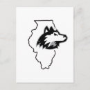 Recherche de huskies cartes postales Niu
