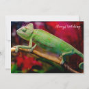 Recherche de caméléon invitations Lézard