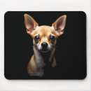 Zoek naar hond chihuahua muismatten Populair