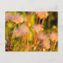 Recherche de chucks cartes postales Parc national de glacier