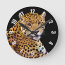 Zoek naar big cats klokken Oerwoud