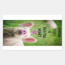 Recherche de animal droits autocollants Porc