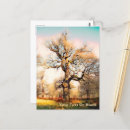 Zoek naar eiken briefkaarten Bomen