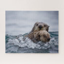 Recherche de otter puzzles Loutre de mer