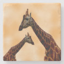 Recherche de girafe dessous de verres Taches