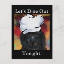 Zoek naar newfoundland dog briefkaarten Hondenproducten van newfoundland